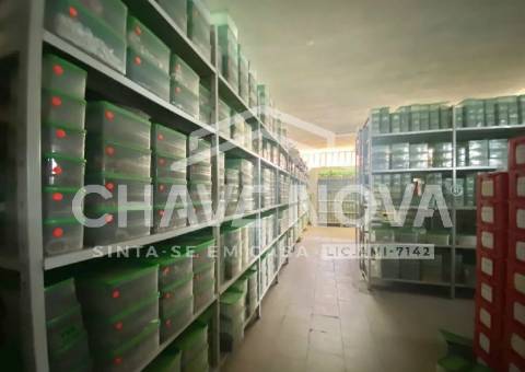 Fábrica/Indústria  Venda em São João da Madeira,São João da Madeira