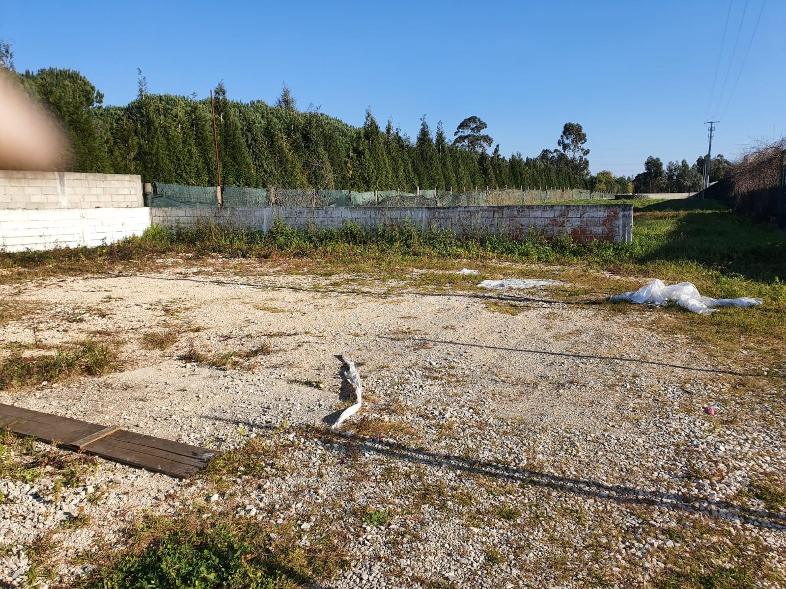 Armazém  Arrendamento em Cacia,Aveiro