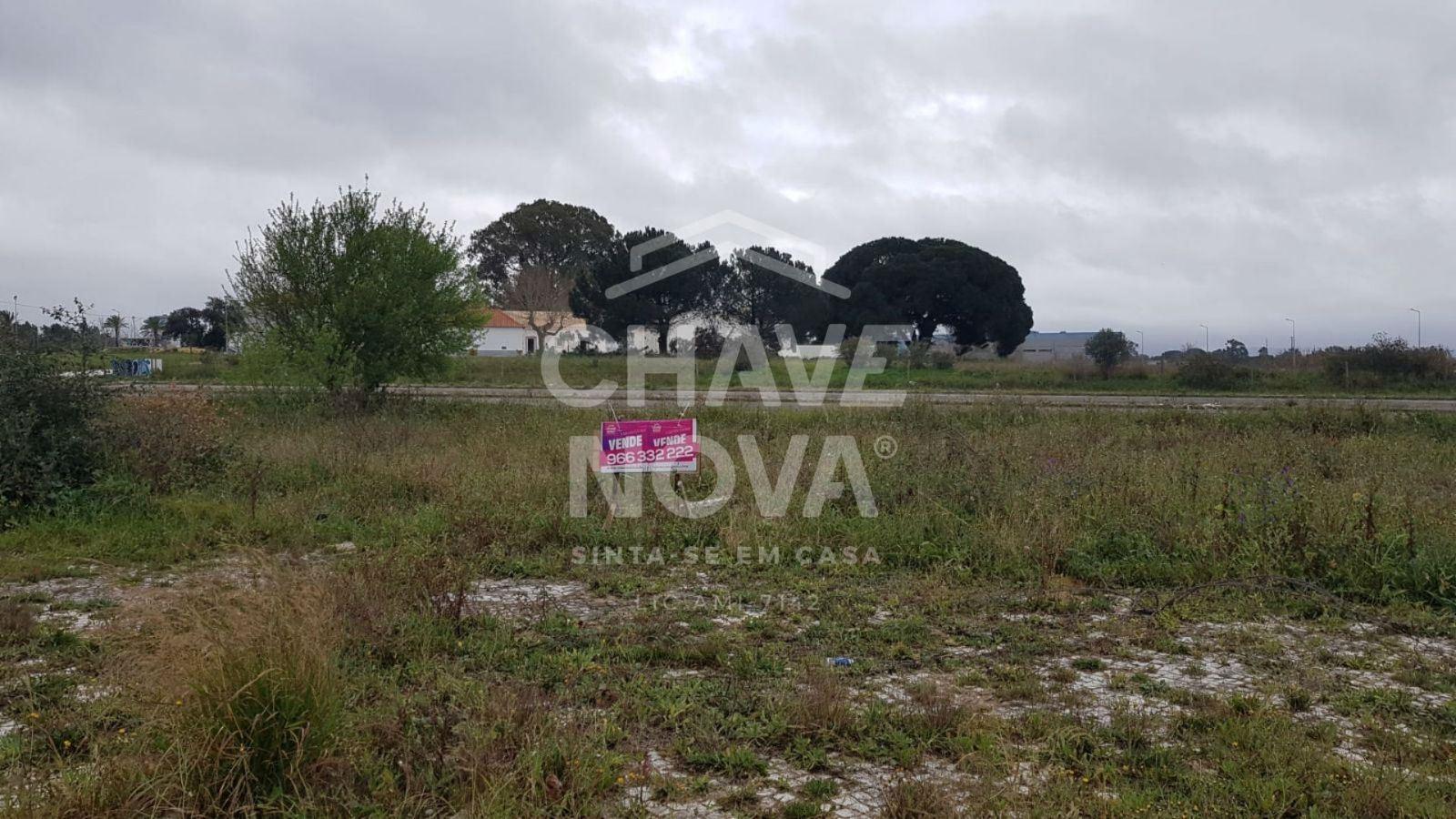 Lote de Terreno  Venda em Pinhal Novo,Palmela