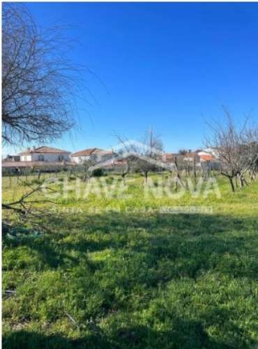 Terreno Rústico  Venda em Ílhavo (São Salvador),Ílhavo