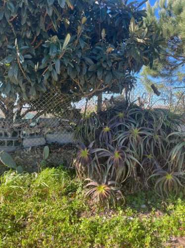 Terreno Rústico  Venda em Ílhavo (São Salvador),Ílhavo