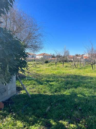 Terreno Rústico  Venda em Ílhavo (São Salvador),Ílhavo