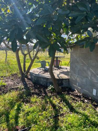 Terreno Rústico  Venda em Ílhavo (São Salvador),Ílhavo