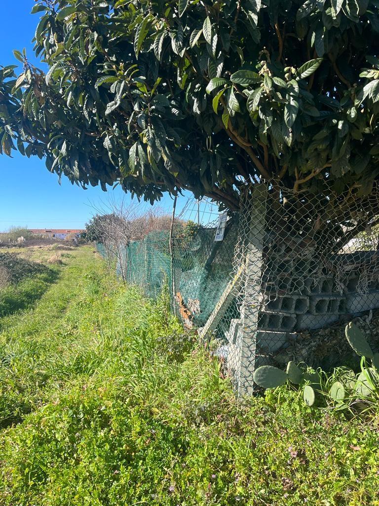 Terreno Rústico  Venda em Ílhavo (São Salvador),Ílhavo