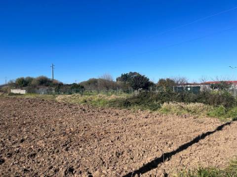 Terreno Rústico  Venda em Ílhavo (São Salvador),Ílhavo