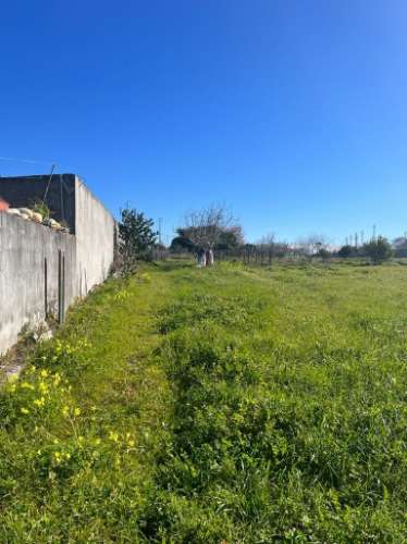 Terreno Rústico  Venda em Ílhavo (São Salvador),Ílhavo