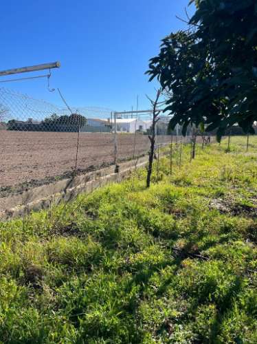 Terreno Rústico  Venda em Ílhavo (São Salvador),Ílhavo