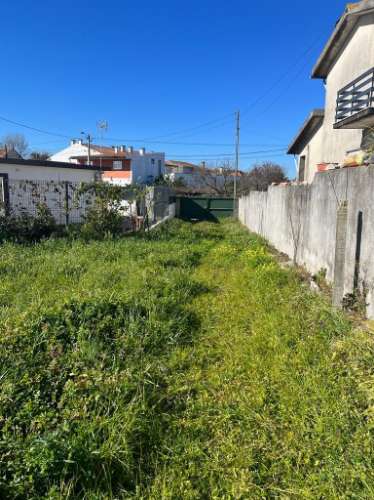 Terreno Rústico  Venda em Ílhavo (São Salvador),Ílhavo