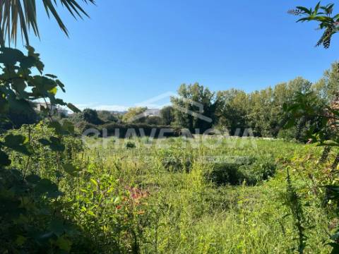 Terreno Misto  Venda em Oliveira do Douro,Vila Nova de Gaia