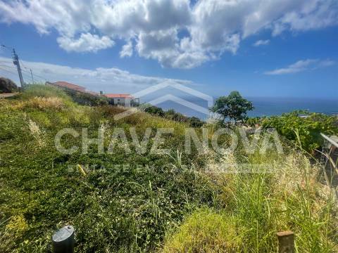 Lote de Terreno  Venda em Santa Cruz,Santa Cruz