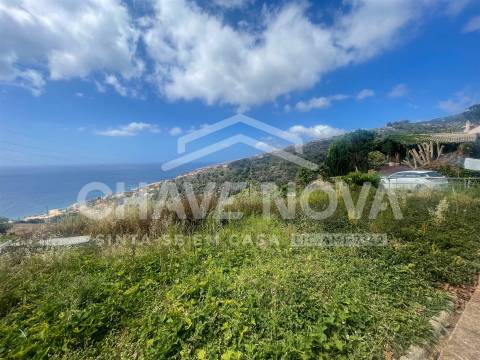 Lote de Terreno  Venda em Santa Cruz,Santa Cruz