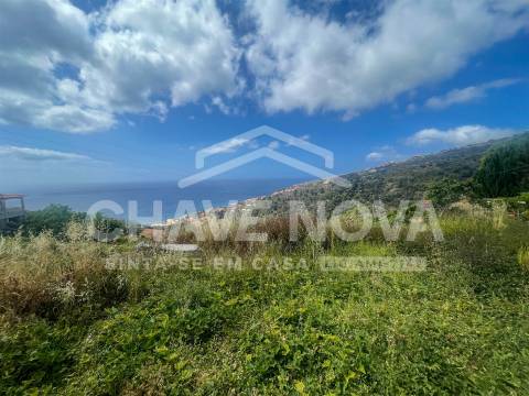Lote de Terreno  Venda em Santa Cruz,Santa Cruz