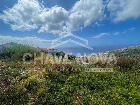 Lote de Terreno  Venda em Santa Cruz,Santa Cruz