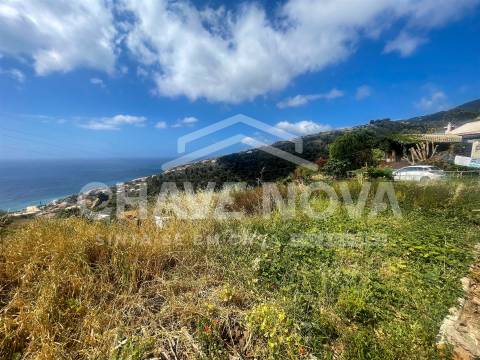 Lote de Terreno  Venda em Santa Cruz,Santa Cruz