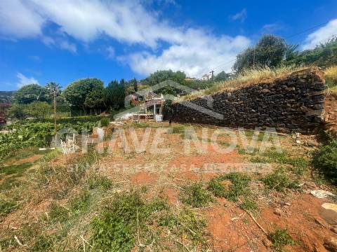 Lote de Terreno  Venda em Santa Cruz,Santa Cruz