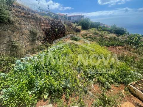 Lote de Terreno  Venda em Santa Cruz,Santa Cruz