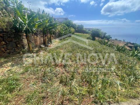 Lote de Terreno  Venda em Santa Cruz,Santa Cruz
