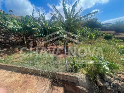 Lote de Terreno  Venda em Santa Cruz,Santa Cruz