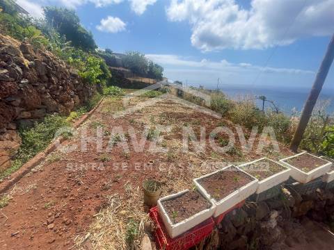 Lote de Terreno  Venda em Santa Cruz,Santa Cruz