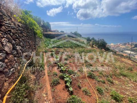 Lote de Terreno  Venda em Santa Cruz,Santa Cruz