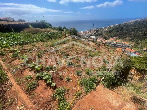 Lote de Terreno  Venda em Santa Cruz,Santa Cruz