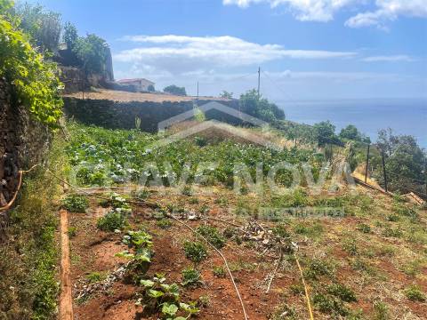 Lote de Terreno  Venda em Santa Cruz,Santa Cruz