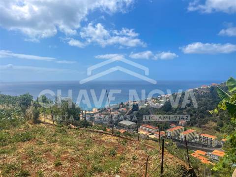 Lote de Terreno  Venda em Santa Cruz,Santa Cruz