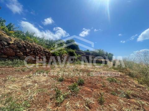 Lote de Terreno  Venda em Santa Cruz,Santa Cruz