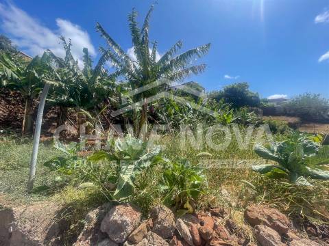 Lote de Terreno  Venda em Santa Cruz,Santa Cruz