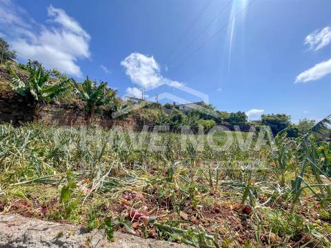 Lote de Terreno  Venda em Santa Cruz,Santa Cruz