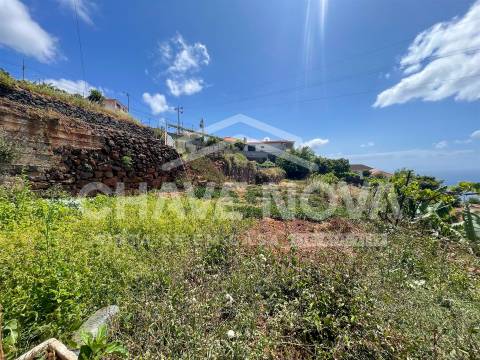 Lote de Terreno  Venda em Santa Cruz,Santa Cruz