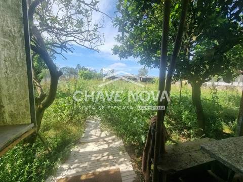 Moradia Isolada T3 Venda em Alquerubim,Albergaria-a-Velha