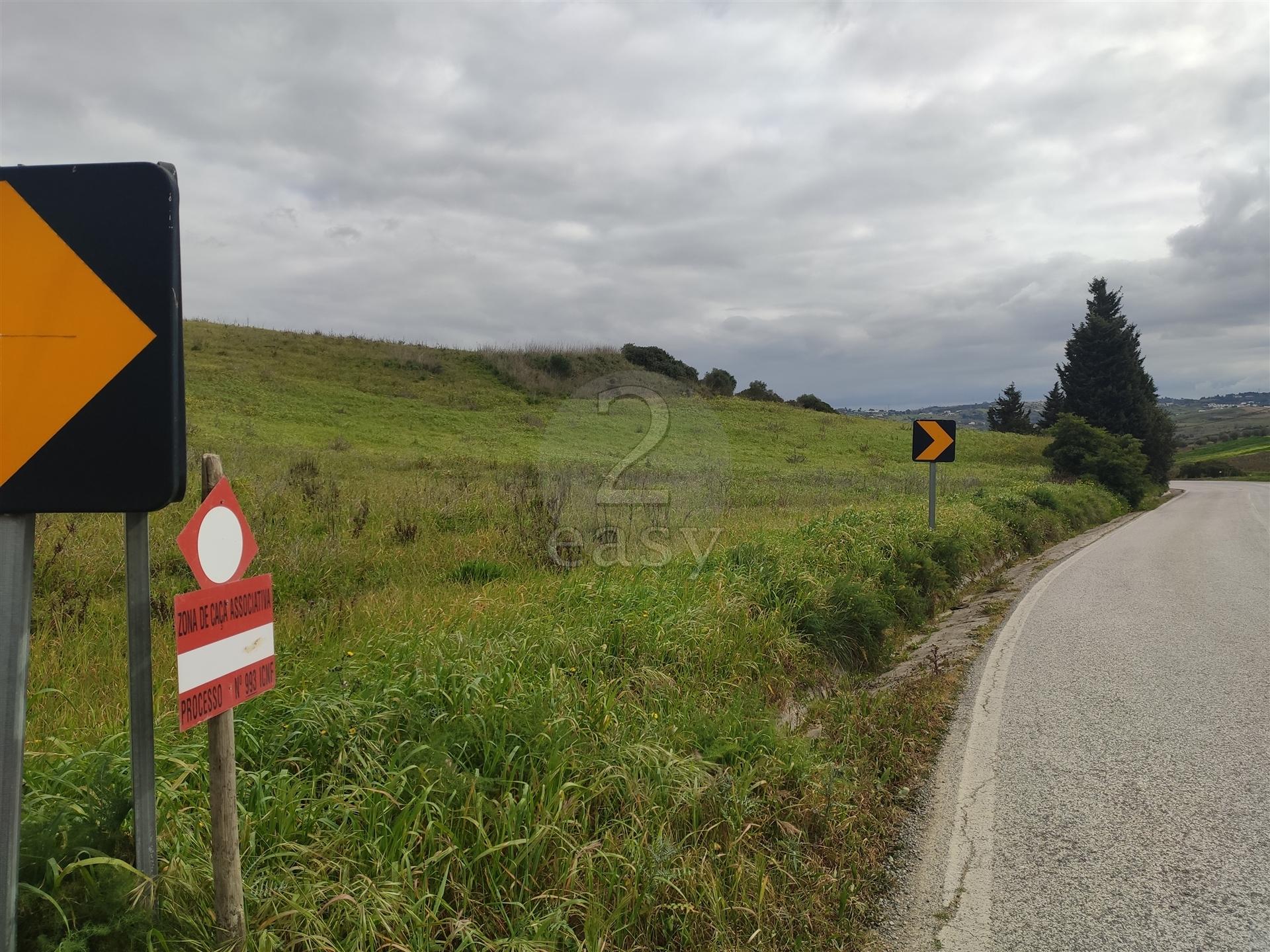 Terreno Rústico  Venda em Arruda dos Vinhos,Arruda dos Vinhos