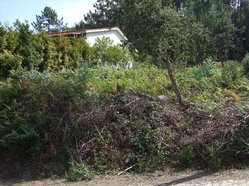 Terreno Urbano  Venda em Moledo e Cristelo,Caminha