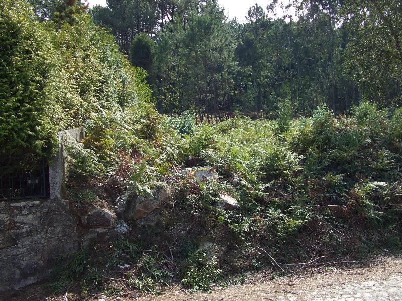 Terreno Urbano  Venda em Moledo e Cristelo,Caminha