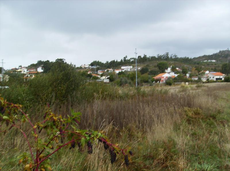 Terreno  Venda em Vilar de Mouros,Caminha