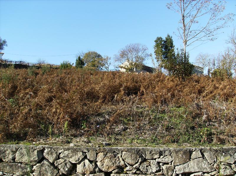 Terreno  Venda em Caminha (Matriz) e Vilarelho,Caminha