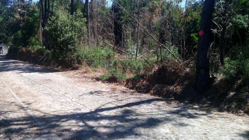 Terreno Urbano  Venda em Venade e Azevedo,Caminha