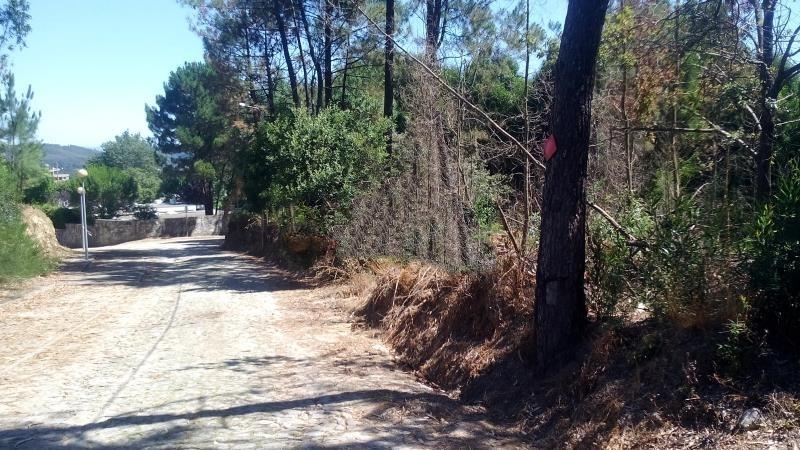 Terreno Urbano  Venda em Venade e Azevedo,Caminha