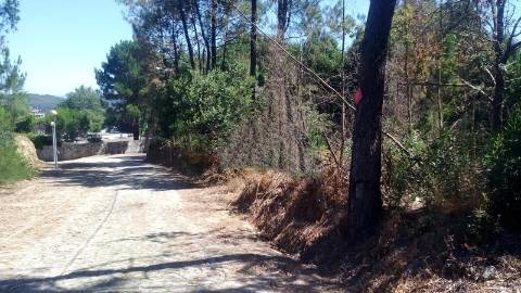 Terreno Urbano  Venda em Venade e Azevedo,Caminha