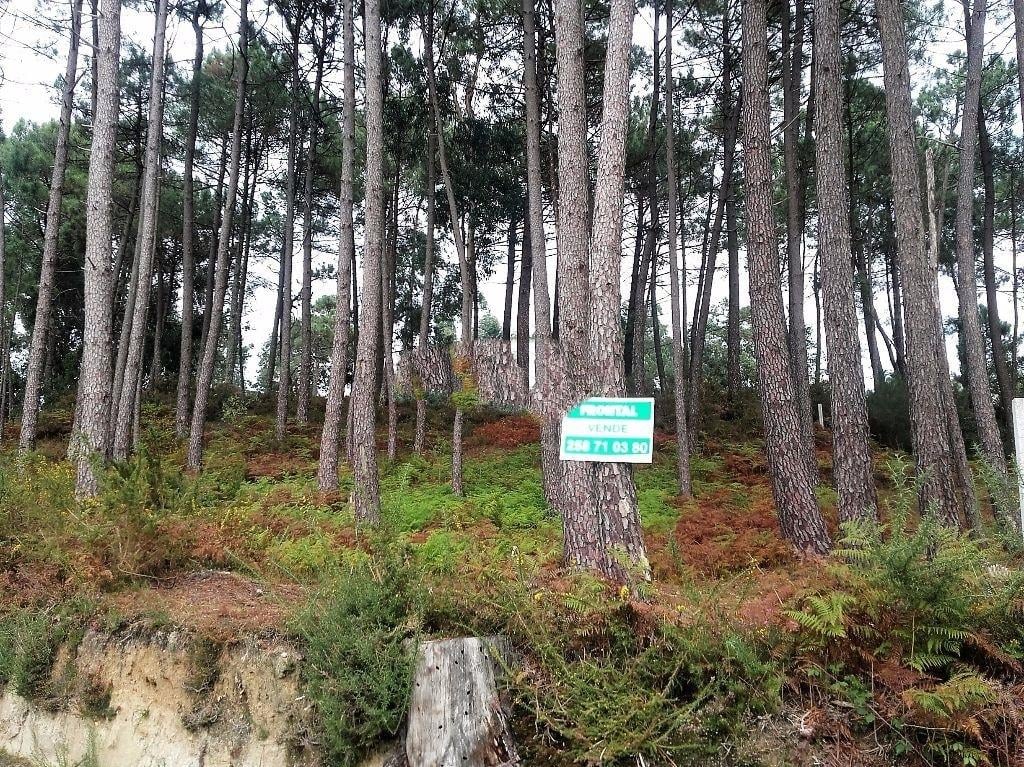 Terreno Urbano  Venda em Vilar de Mouros,Caminha