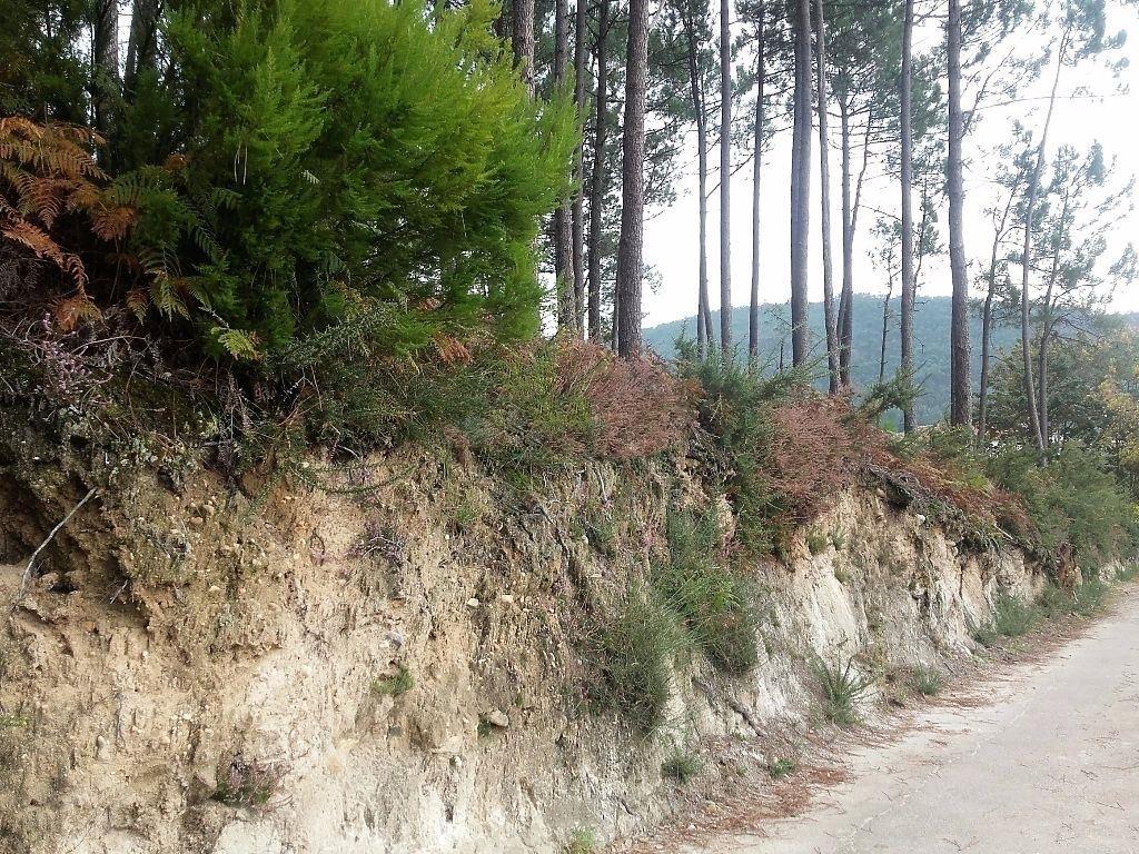 Terreno Urbano  Venda em Vilar de Mouros,Caminha