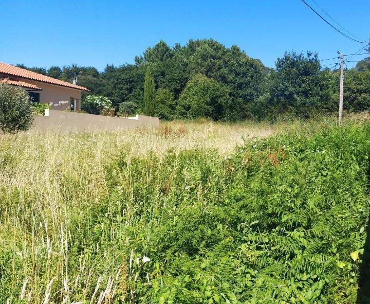 Terreno Urbano  Venda em Seixas,Caminha