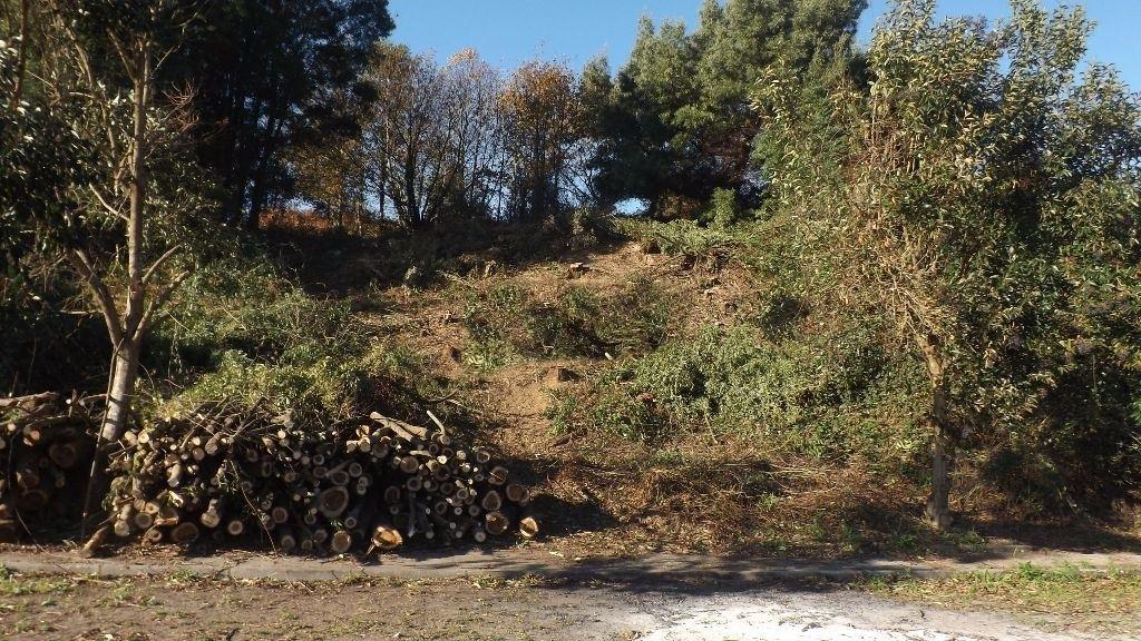 Loteamento  Venda em Venade e Azevedo,Caminha