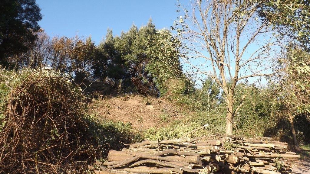 Loteamento  Venda em Venade e Azevedo,Caminha