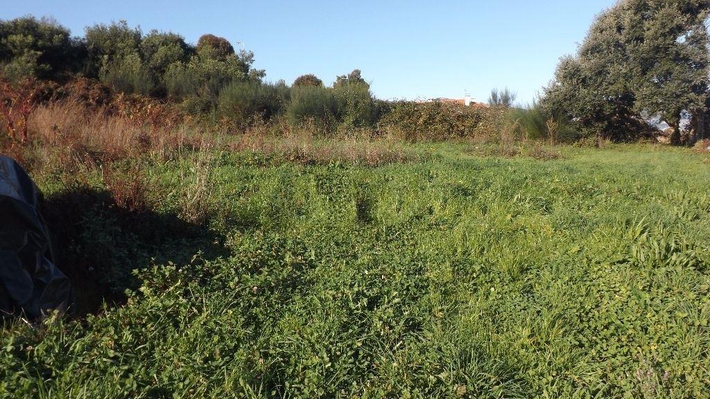 Loteamento  Venda em Venade e Azevedo,Caminha