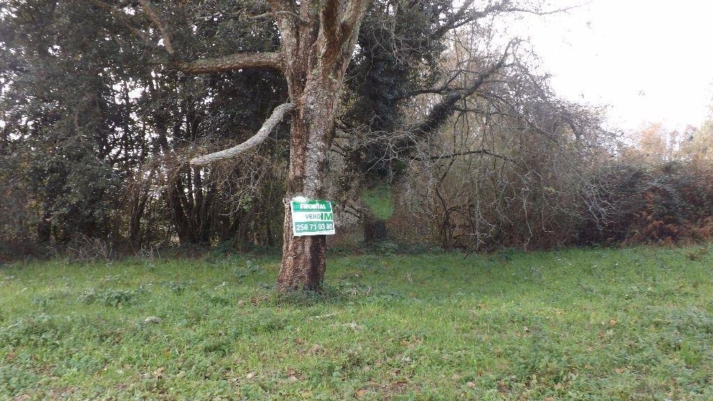 Terreno Urbano  Venda em Seixas,Caminha