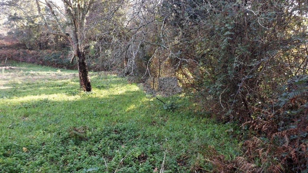 Terreno Urbano  Venda em Seixas,Caminha