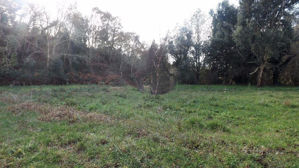 Terreno Urbano  Venda em Seixas,Caminha