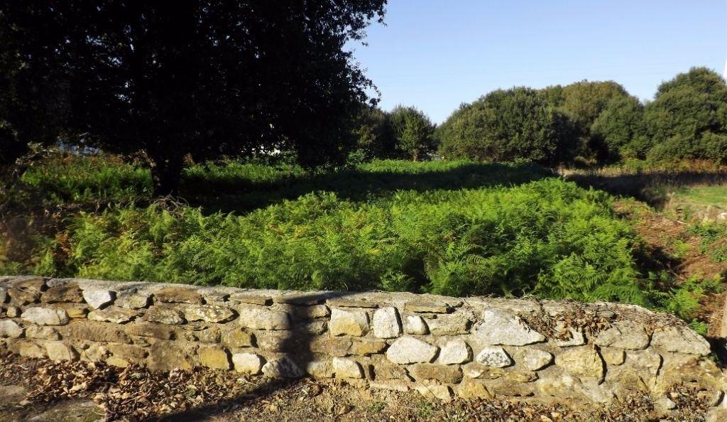 Terreno Urbano  Venda em Seixas,Caminha